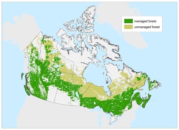 mapa de los bosques de Canadá