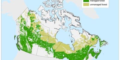 Mapa de los bosques de Canadá
