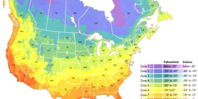 Canadá mapa de la zona de temperatura