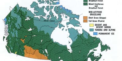 Mapa de vegetación Canadá